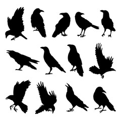 crow raven bird silhouettes