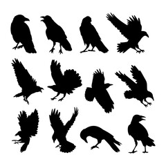 crow bird silhouettes collection set