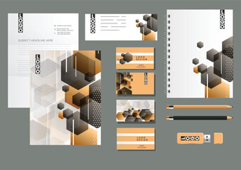 Hexagonal Abstract Corporate Identity Branding Design