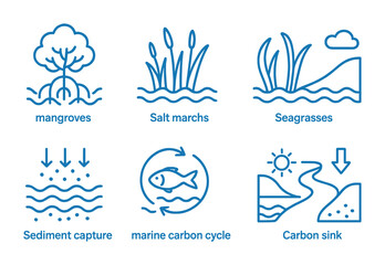 Coastal ecosystems and their role in marine carbon cycle and carbon capture