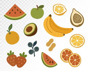 Watercolor Fruit Collection for Fresh Summer Themes in Vibrant Tones for Kitchen Art. Vector Illustration.