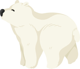 illustration polar bear