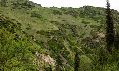landscape with green grass and mountains