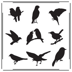 Obraz premium Bird Silhouette Vector Set – Songbird Clipart Pack with Flying, Perched, and Singing Birds for Nature Designs, Wall Art, Crafts, and Logos