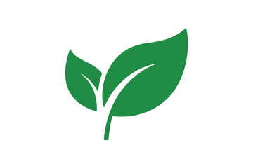 Illustration of two green leaves on white