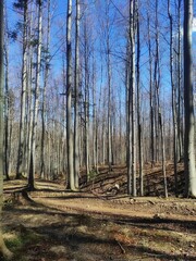 Obraz premium Majestic mountain landscape at sunrise. A perfect blend of natural beauty, tranquility, and the power of nature.