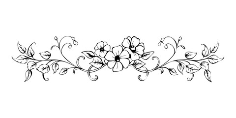 Floral divider illustration featuring anemones in line art style  