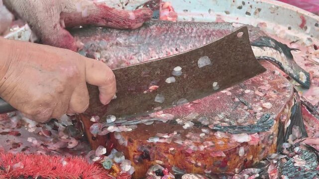 Fresh fish in the market