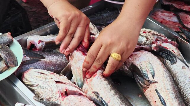 Fresh fish in the market