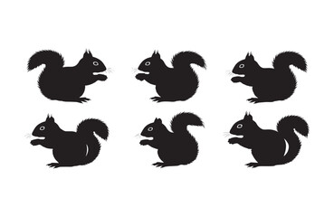 Fototapeta premium Print