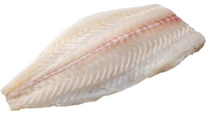 fresh raw fish on isolated transparent background