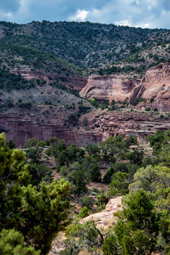 Vertical full-frame view of red sandstone cliff walls and a natural alcove in Colorado National Monument.
