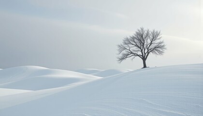 Minimalist Winter Landscape Featuring a Solitary Tree Snowy Hills Nature Photography Tranquil Setting Aerial View Serenity