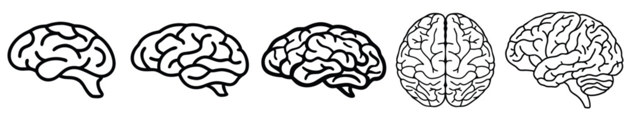 Human Brain Outline Icon Set – Neuroscience, Intelligence, Medical, Psychology, and Tech Concepts in Simple Line Art for Infographics and UI Design