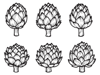 Artichoke Simple Line Art Clear Vision