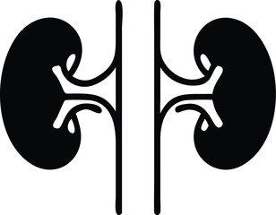 Black kidney pair shows internal anatomy with ureter silhouette and transparent background