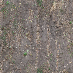Natural Ground Texture with Autumn Leaves

