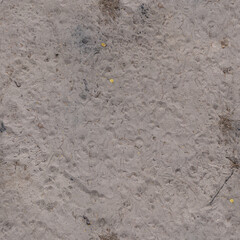 Natural Ground Texture with Autumn Leaves

