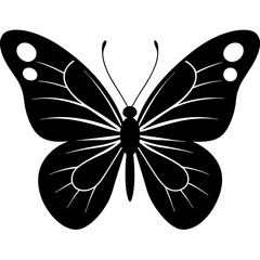 butterfly vector illustration on a white background.
