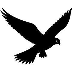 eagle in flight vector on a white background.