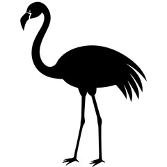 illustration of a flamingo on a white background.