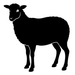 vector illustration of sheep on a white background.