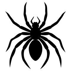 spider on a white background.
