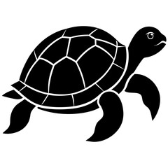 turtle vector illustration on a white background.