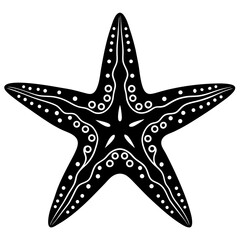 vector illustration of a starfish on a white background.