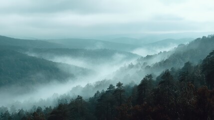Obraz premium foggy valley