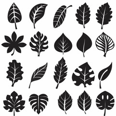 Fototapeta premium Silhouette Leaf Icons Collection for Nature and Botanical Projects Free Vector, Floral vector icons featuring a variety of flower types and designs showcasing nature in a minimalist style for design.