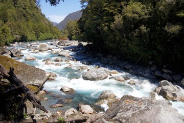 Hollyford River, Fiordland National Park, South Island, New Zealand