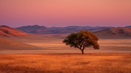 Obraz premium solitary acacia tree at golden hour with red-orange sky and distant desert hills