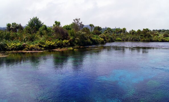 Te Waikoropupu Springs, Golden Bay, South Island, New Zealand
