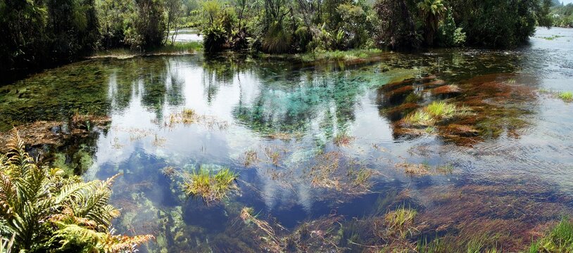 Te Waikoropupu Springs, Golden Bay, South Island - New Zealand