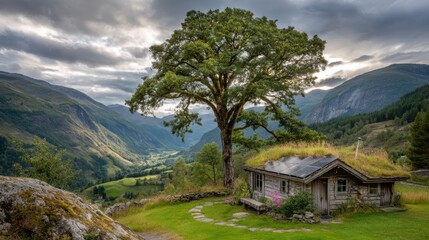 off-grid solar cabin