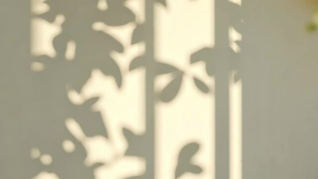 Shadow Pattern from Floral Design Creating Soft Light Atmosphere in Minimalist Room