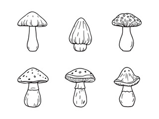 Ceramic Mushroom Simple Line Art Illustration