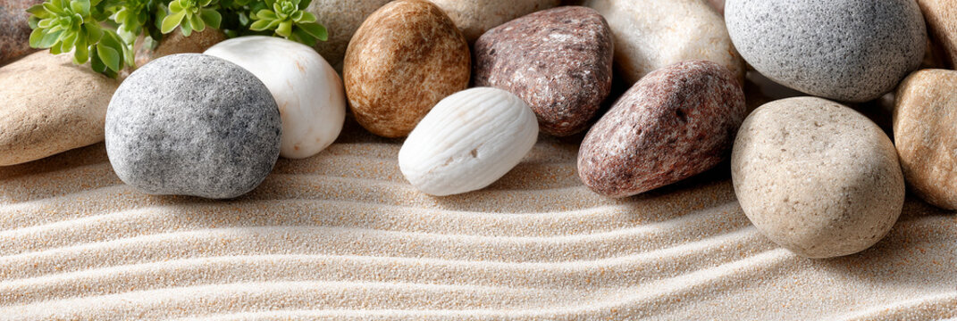 Smooth stones and green plant on sand zen garden - Powered by Adobe