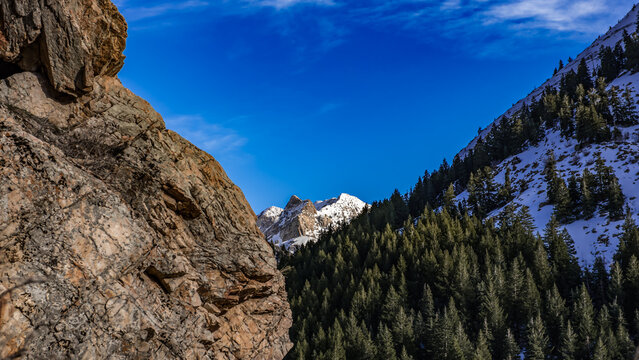 Widescreen view of snow-covered alpine peaks and pine forests framed by a rugged rock cliff in Big Cottonwood Canyon, Utah.