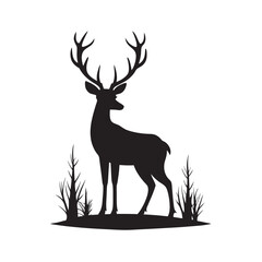 Deer Standing Alert Forest