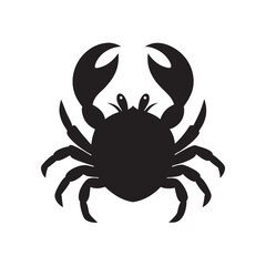 Crab Crawling Beach Scene