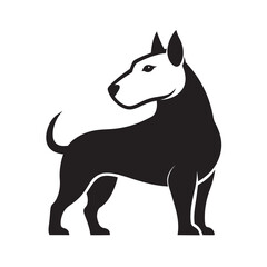 Bull Terrier Standing Guard