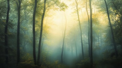 Obraz premium A misty forest at dawn with soft, dreamy light filtering through the trees, blurred edges, and delicate hues of green and gold. --ar 16:9 --v 6.1 Job ID: 2da892c3-417e-4cad-8850-60e9cf9ba70a
