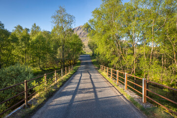 Narrow Sunny Road Through Birch Trees in Glen Etive, Scottish Highlands – Peaceful Summer Scene with Mountain View and Shadows on Rural Bridge