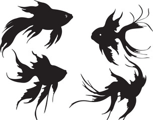 Fototapeta premium Black Silhouette of Fancy Goldfish: Ornamental Fish Vector Illustration, Aquarium Pet Design