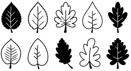 Fototapeta premium Leaf Outline Set Different Shapes Black and White