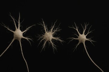 Fototapeta premium Distinct depiction of neuron cells illustrating their unique structures and connections