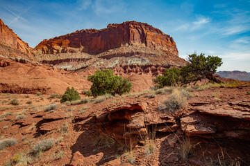 Southwest usa Zion National Park The main part of the park is Zion Canyon surrounded by the walls of the Deertrap, Cathedral and Majestic Mountain mountains. The Virgin River flows through the canyon.
