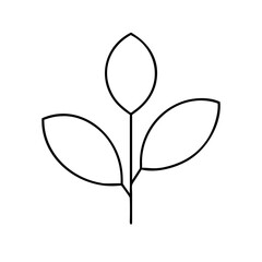 Minimalist Leaf Illustration with Three Leaves and a Stem Drawn with Black Lines on a White Background for Simple Design